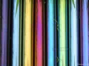 304 Stainless Steel Colour Coated Pipe/Tube