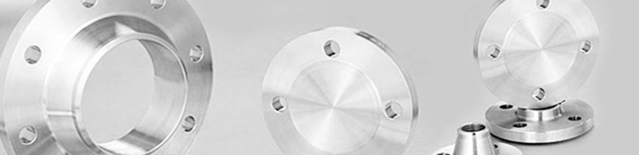 SMO 254 Flanges